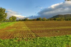 10-11 - Herbstbeginn 